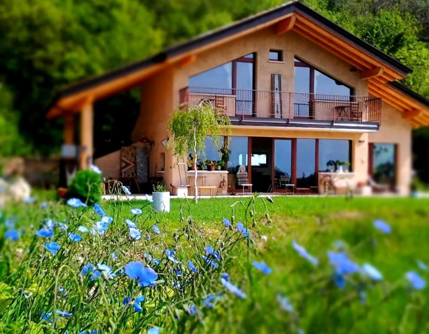 Couette-café B&B Asinochevola Arveaco